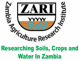 ZARI Logo