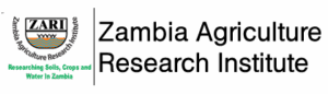 logo-2-2